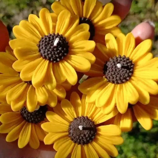 Daisy Flower Candlle