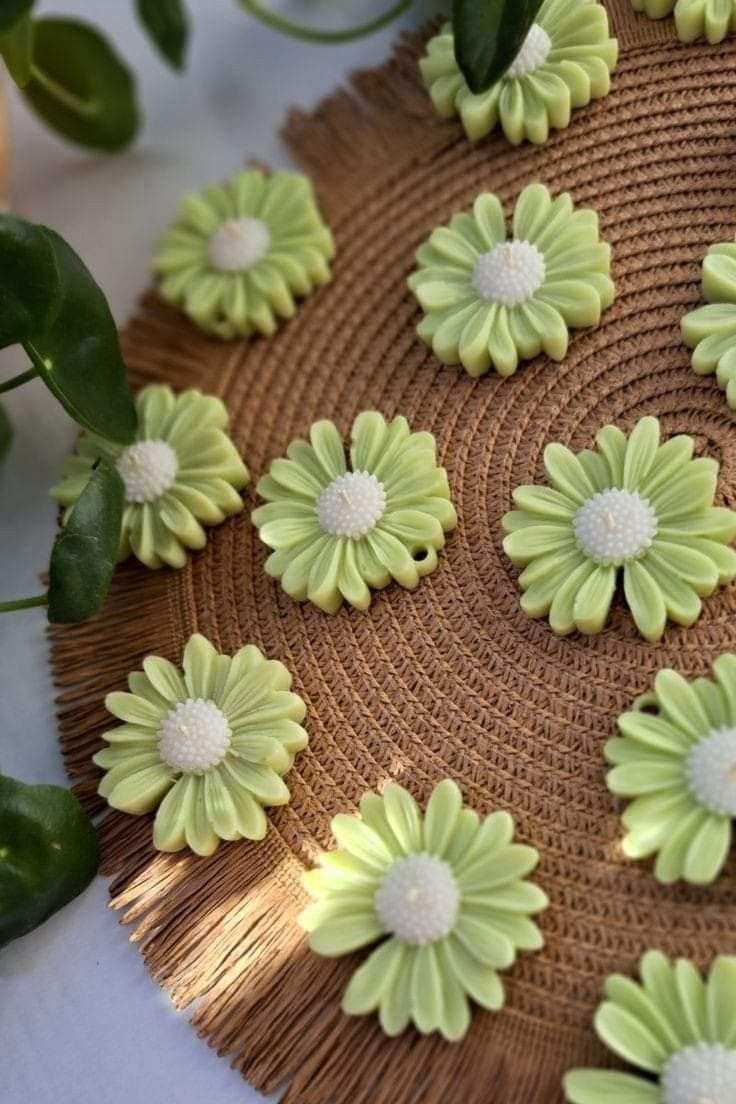 Daisy Flower Candlle